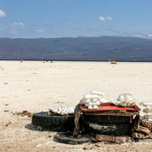 Tales of the Djibouti By Camille Massida